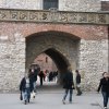 IMG_4366