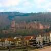 IMG_9137_1