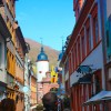 IMG_9244