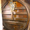 IMG_9415